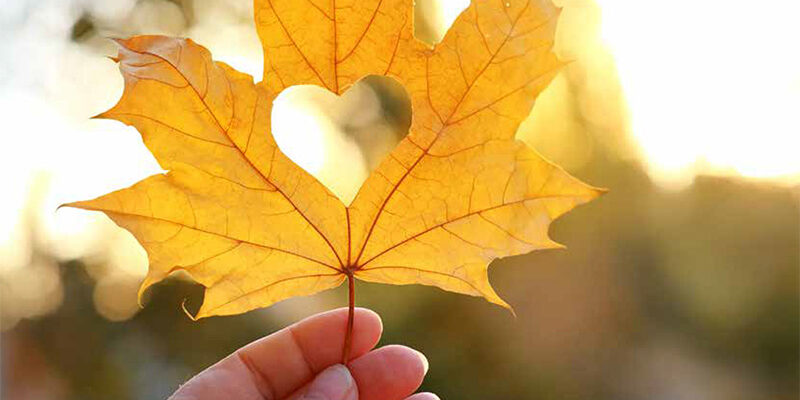 beitrag_nds_epiKurier_2024_03